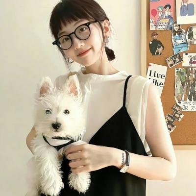 绝代双基 在线观看封面